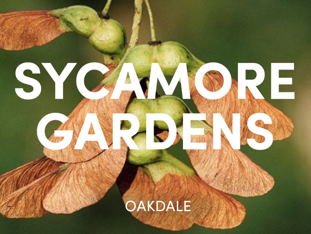 Find a home Pobl Living