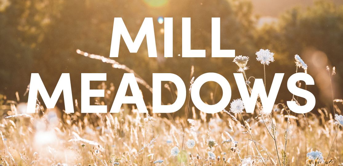 Mill meadows