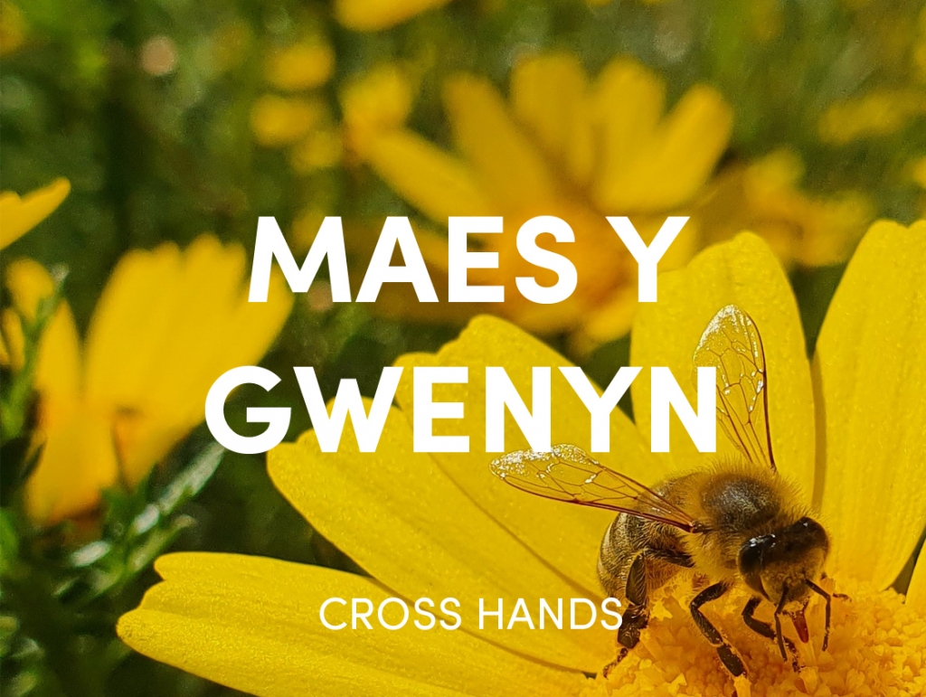 Maes y Gwenyn, Cross Hands