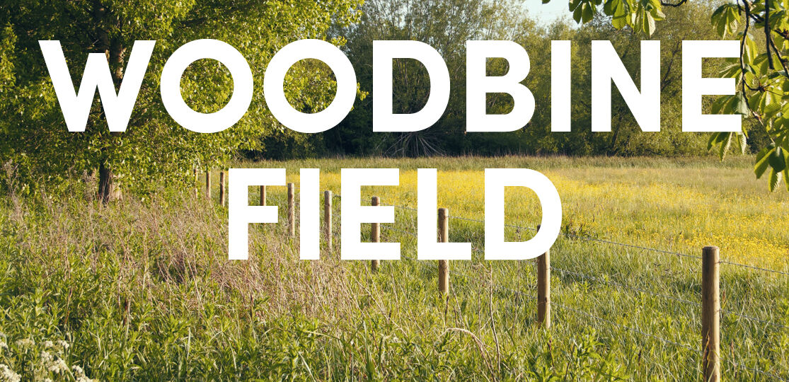 Woodbine Field