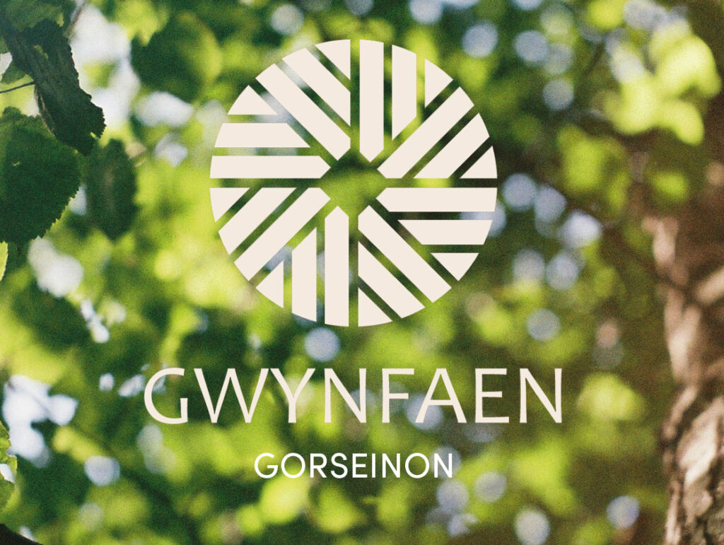 Gwynfaen, Penyrheol